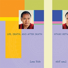 Life, Death and After Death
