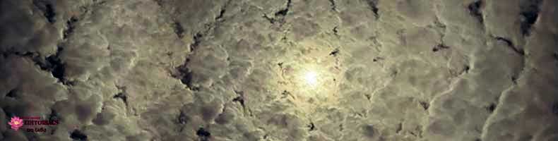 Do you like to Decline?