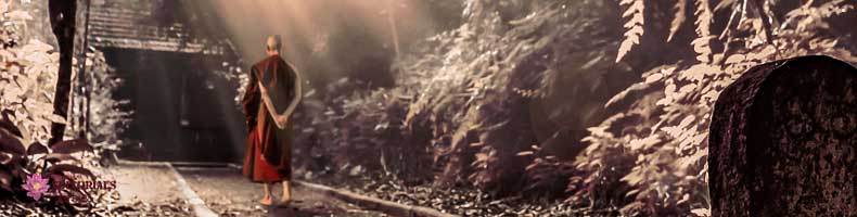 Benefits of a True Practitioner