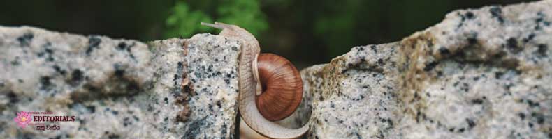 Sincere commitment or...?