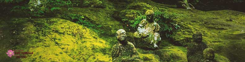 Don't be the reason for this!