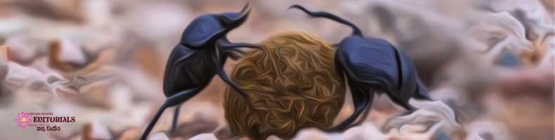 New Year of a Dung Beetle!