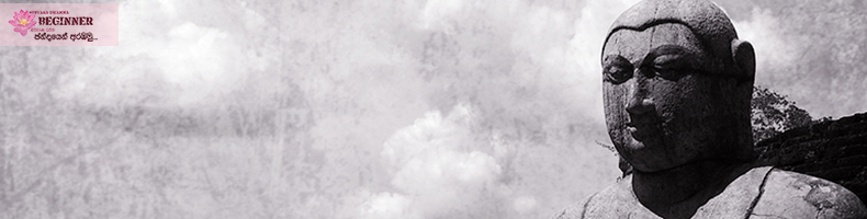 What it feels like to be enlighten?