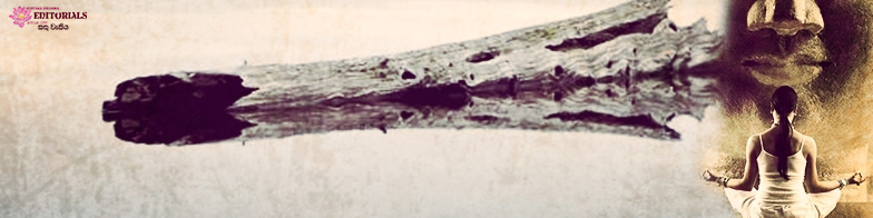 Imagine if you are a floating Log - Part 03