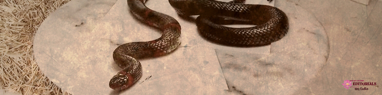 Reality doesn't far from this