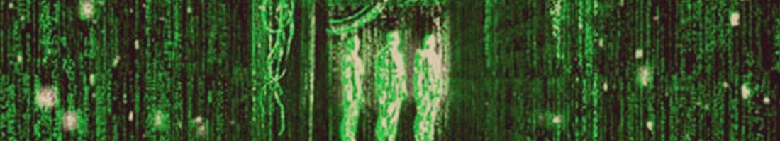 Wisdom in Matrix Triology