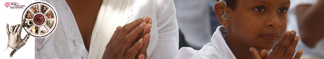 Video Gallery - Western